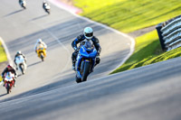 Oulton-Park-20th-March-2020;PJ-Motorsport-Photography-2020;anglesey;brands-hatch;cadwell-park;croft;donington-park;enduro-digital-images;event-digital-images;eventdigitalimages;mallory;no-limits;oulton-park;peter-wileman-photography;racing-digital-images;silverstone;snetterton;trackday-digital-images;trackday-photos;vmcc-banbury-run;welsh-2-day-enduro